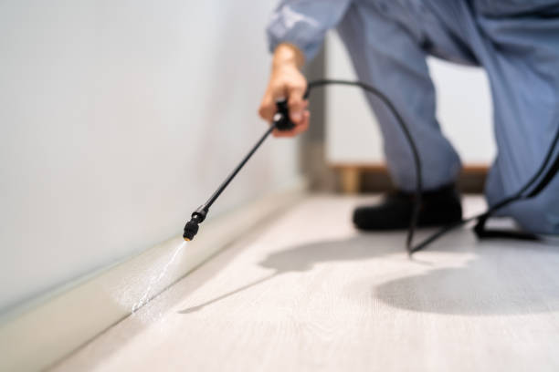 Licensed Cockroach Control service in Lauderhill, FL - Nex Pest Control