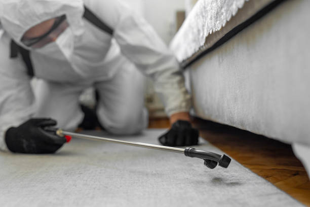 Professional Cockroach Control technician working in Lauderhill, FL