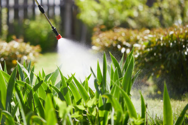 24/7 Emergency Cockroach Control experts in Lauderhill, FL