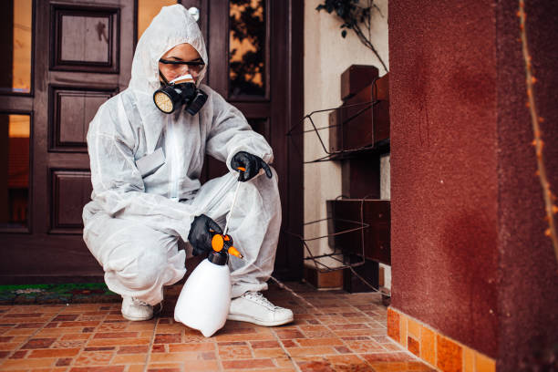 Reliable Cockroach Control contractor in Lauderhill, FL by Nex Pest Control